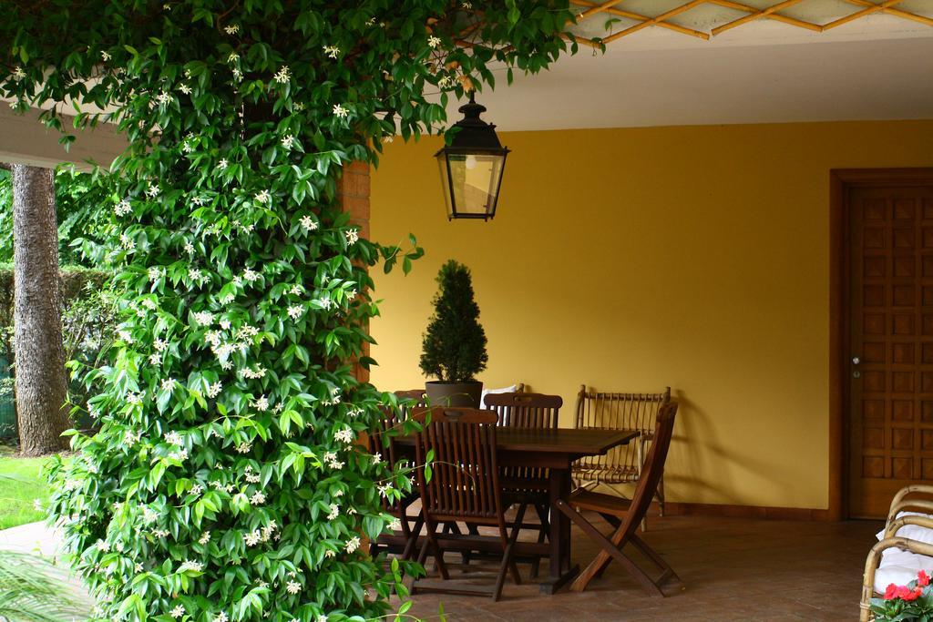 B&B Igea 50 Modena Exterior foto